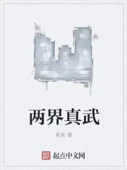 《两界真武》小说封面