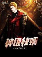 《神级快婿》小说封面