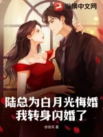 《陆总为白月光悔婚，我转身闪婚了》小说封面