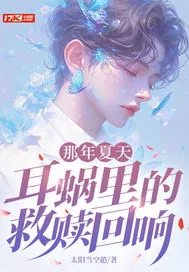 《那年夏天,耳蜗里的救赎回响》小说封面