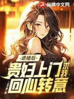 《退婚后，贵妇上门求我回心转意》小说封面