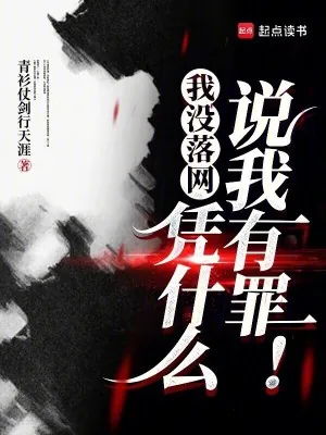 《我没落网，凭什么说我有罪！》小说封面