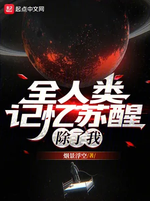 《全人类记忆苏醒，除了我》小说封面