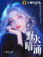 《野火暗涌》小说封面