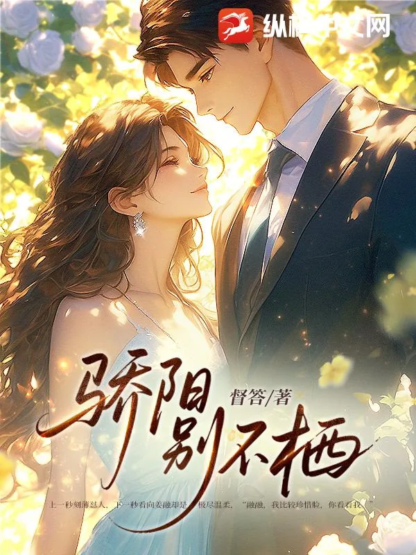 《骄阳别不栖》小说封面