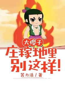 《大傻子：庄稼地里别这样！》小说封面