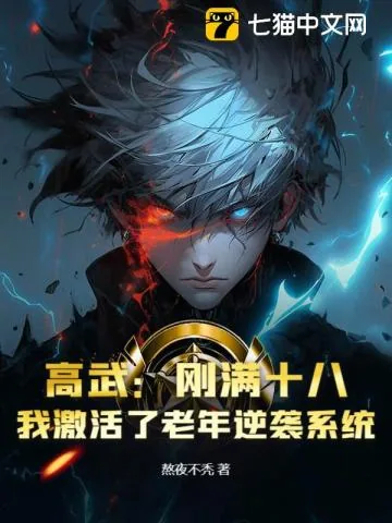 《高武：刚满十八，我激活了老年逆袭系统？》小说封面