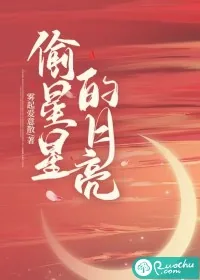 《偷星星的月亮》小说封面