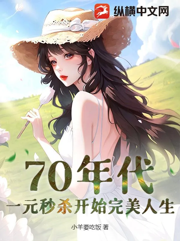 《70年代:一元秒杀开始完美人生》小说封面