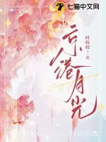 《京港月光》小说封面