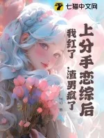 《上分手恋综后，我红了，渣男疯了》小说封面