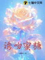 《诱吻蜜糖》小说封面