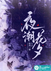 《夜潮花夕》小说封面