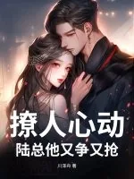 《撩人心动：陆总他又争又抢》小说封面