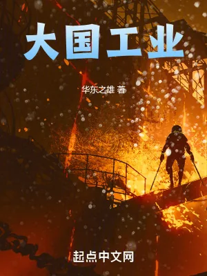 《大国工业》小说封面
