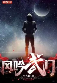 《风吟武门》小说封面