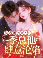 《沈老师娇娇入怀,季总他肆意沦陷》小说封面