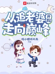 《从追老婆开始走向巅峰》小说封面