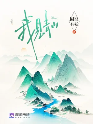 《我见青山》小说封面