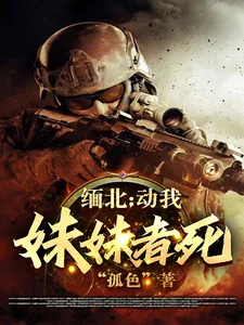 《缅北：动我妹妹者死》小说封面
