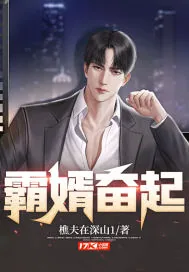 《霸婿奋起》小说封面