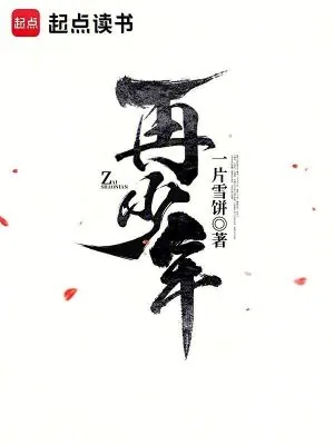 《再少年》小说封面