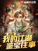 《捡漏：我的江湖鉴宝往事》小说封面