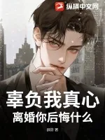 《辜负我真心，离婚你后悔什么？》小说封面