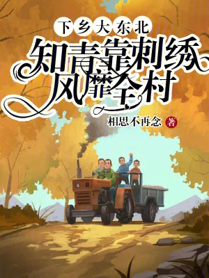 《下乡大东北，知青靠刺绣风靡全村》小说封面
