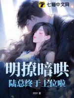 《明撩暗哄，陆总终于上位啦》小说封面