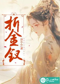 《折金钗》小说封面