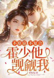 《不原谅,不复合,霍少他觊觎我》小说封面
