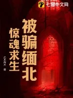 《被骗缅北,惊魂求生》小说封面