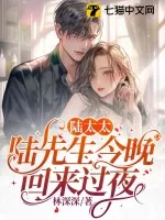 《陆太太，陆先生今晚回来过夜》小说封面