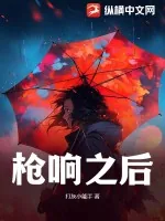 《枪响之后》小说封面