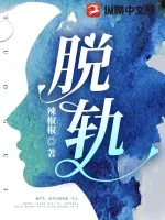 《脱轨》小说封面
