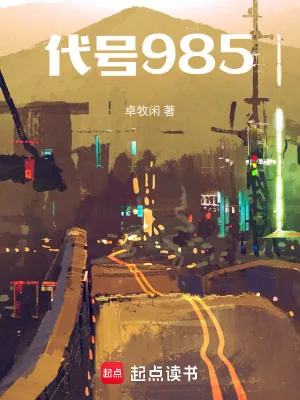 《代号985》小说封面