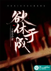 《欲休于成》小说封面