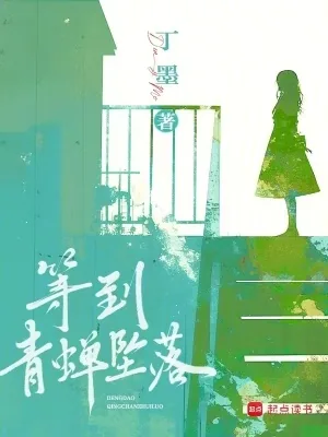 《等到青蝉坠落》小说封面