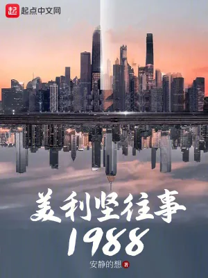 《美利坚往事1988》小说封面