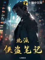 《北派侠盗笔记》小说封面