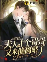 《霍总，夫人的十个哥哥又来催离婚了》小说封面