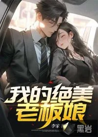 《我的绝美老板娘》小说封面