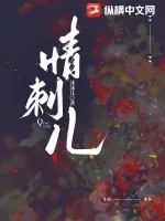 《情刺儿》小说封面