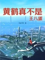 《黄鹤真不是王八蛋》小说封面