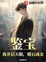《鉴宝:我开启天眼,赌石成金》小说封面