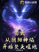 《高武:从阴阳神焰开始焚天噬地!》小说封面