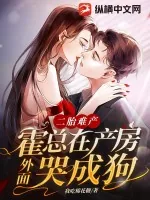 《二胎难产，霍总在产房外面哭成狗》小说封面