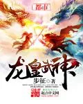 《龙皇武神》小说封面