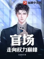 《官场：走向权力巅峰》小说封面